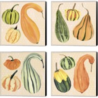 Framed 'Decorative Gourd 4 Piece Canvas Print Set' border=