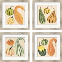 Framed 'Decorative Gourd 4 Piece Framed Art Print Set' border=