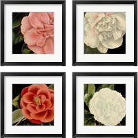 Framed 'Dramatic Camellia 4 Piece Framed Art Print Set' border=
