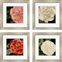 Framed Dramatic Camellia 4 Piece Framed Art Print Set