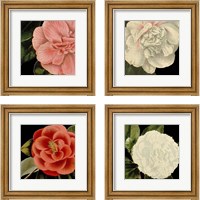 Framed Dramatic Camellia 4 Piece Framed Art Print Set