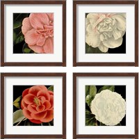 Framed 'Dramatic Camellia 4 Piece Framed Art Print Set' border=