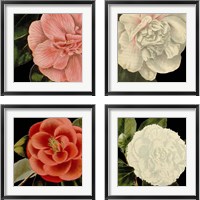 Framed Dramatic Camellia 4 Piece Framed Art Print Set