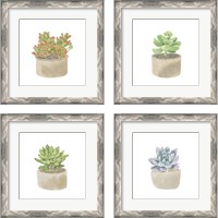 Framed 'Simple Succulent 4 Piece Framed Art Print Set' border=