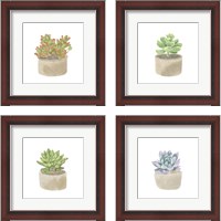 Framed 'Simple Succulent 4 Piece Framed Art Print Set' border=