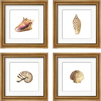 Framed 'Oceanum Shells White 4 Piece Framed Art Print Set' border=