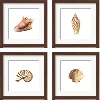 Framed 'Oceanum Shells White 4 Piece Framed Art Print Set' border=