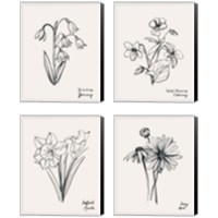 Framed Annual Flowers 4 Piece Canvas Print Set