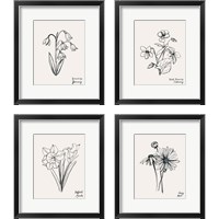 Framed 'Annual Flowers 4 Piece Framed Art Print Set' border=