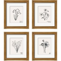 Framed Annual Flowers 4 Piece Framed Art Print Set