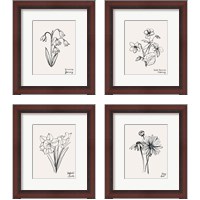 Framed 'Annual Flowers 4 Piece Framed Art Print Set' border=