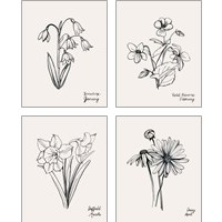 Framed 'Annual Flowers 4 Piece Art Print Set' border=