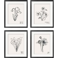 Framed Annual Flowers 4 Piece Framed Art Print Set