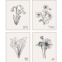 Framed Annual Flowers 4 Piece Art Print Set