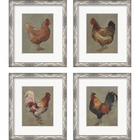 Framed 'Egg Hen 4 Piece Framed Art Print Set' border=