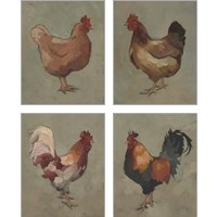 Framed Egg Hen 4 Piece Art Print Set