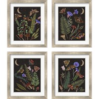 Framed Dark Forest 4 Piece Framed Art Print Set