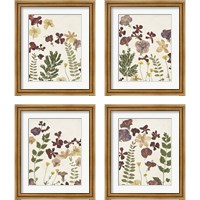 Framed 'Pressed Flower Arrangement 4 Piece Framed Art Print Set' border=