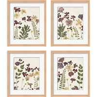 Framed 'Pressed Flower Arrangement 4 Piece Framed Art Print Set' border=