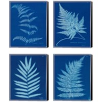 Framed 'Cyanotype Ferns 4 Piece Canvas Print Set' border=