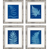 Framed 'Cyanotype Ferns 4 Piece Framed Art Print Set' border=