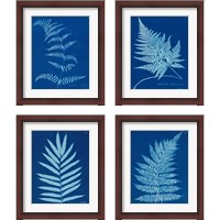 Framed Cyanotype Ferns 4 Piece Framed Art Print Set