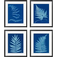 Framed Cyanotype Ferns 4 Piece Framed Art Print Set