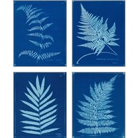 Framed Cyanotype Ferns 4 Piece Art Print Set