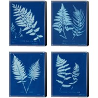 Framed 'Cyanotype Ferns 4 Piece Canvas Print Set' border=