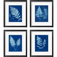 Framed 'Cyanotype Ferns 4 Piece Framed Art Print Set' border=