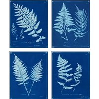 Framed Cyanotype Ferns 4 Piece Art Print Set