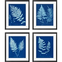 Framed 'Cyanotype Ferns 4 Piece Framed Art Print Set' border=