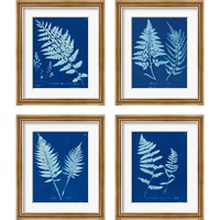 Framed Cyanotype Ferns 4 Piece Framed Art Print Set