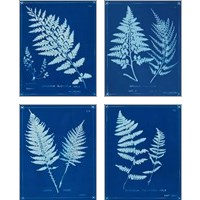 Framed 'Cyanotype Ferns 4 Piece Art Print Set' border=