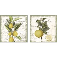 Framed 'Citron  2 Piece Art Print Set' border=