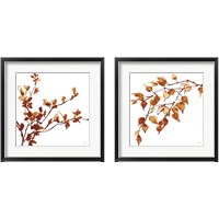 Framed Colors of the Fall 2 Piece Framed Art Print Set