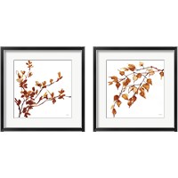 Framed Colors of the Fall 2 Piece Framed Art Print Set