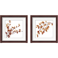 Framed 'Colors of the Fall 2 Piece Framed Art Print Set' border=