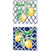 Framed Everyday Chinoiserie Lemons 2 Piece Canvas Print Set