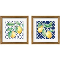 Framed 'Everyday Chinoiserie Lemons 2 Piece Framed Art Print Set' border=