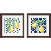 Framed 'Everyday Chinoiserie Lemons 2 Piece Framed Art Print Set' border=