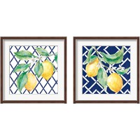 Framed Everyday Chinoiserie Lemons 2 Piece Framed Art Print Set