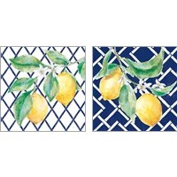 Framed 'Everyday Chinoiserie Lemons 2 Piece Art Print Set' border=