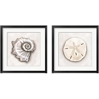 Framed 'Shell  2 Piece Framed Art Print Set' border=