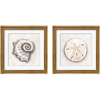 Framed 'Shell  2 Piece Framed Art Print Set' border=