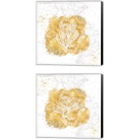 Framed 'Golden Coral 2 Piece Canvas Print Set' border=