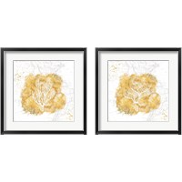 Framed 'Golden Coral 2 Piece Framed Art Print Set' border=