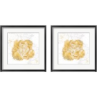 Framed 'Golden Coral 2 Piece Framed Art Print Set' border=