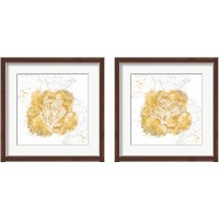 Framed 'Golden Coral 2 Piece Framed Art Print Set' border=