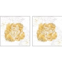 Framed 'Golden Coral 2 Piece Art Print Set' border=